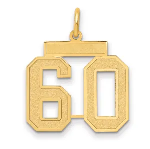 14K Gold Satin Finish Number 60 Charm with Brushed Texture