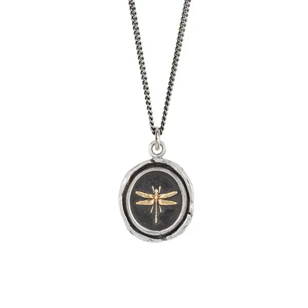 Dragonfly 14k Gold on Silver Talisman | Pyrrha