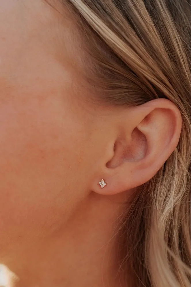 Margot Studs